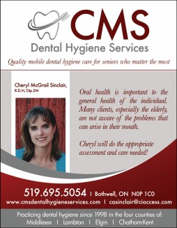 cms dental