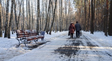 Park winter, walk, couple, elderly